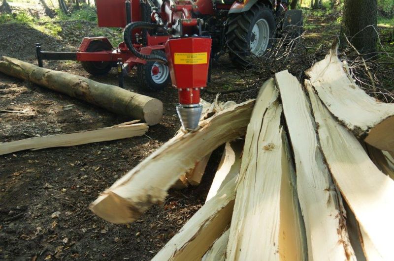*Sonstige-Lasco Kegelspalter Rolli 6.2-Sonstige-http://www.anders-gabelstapler.de