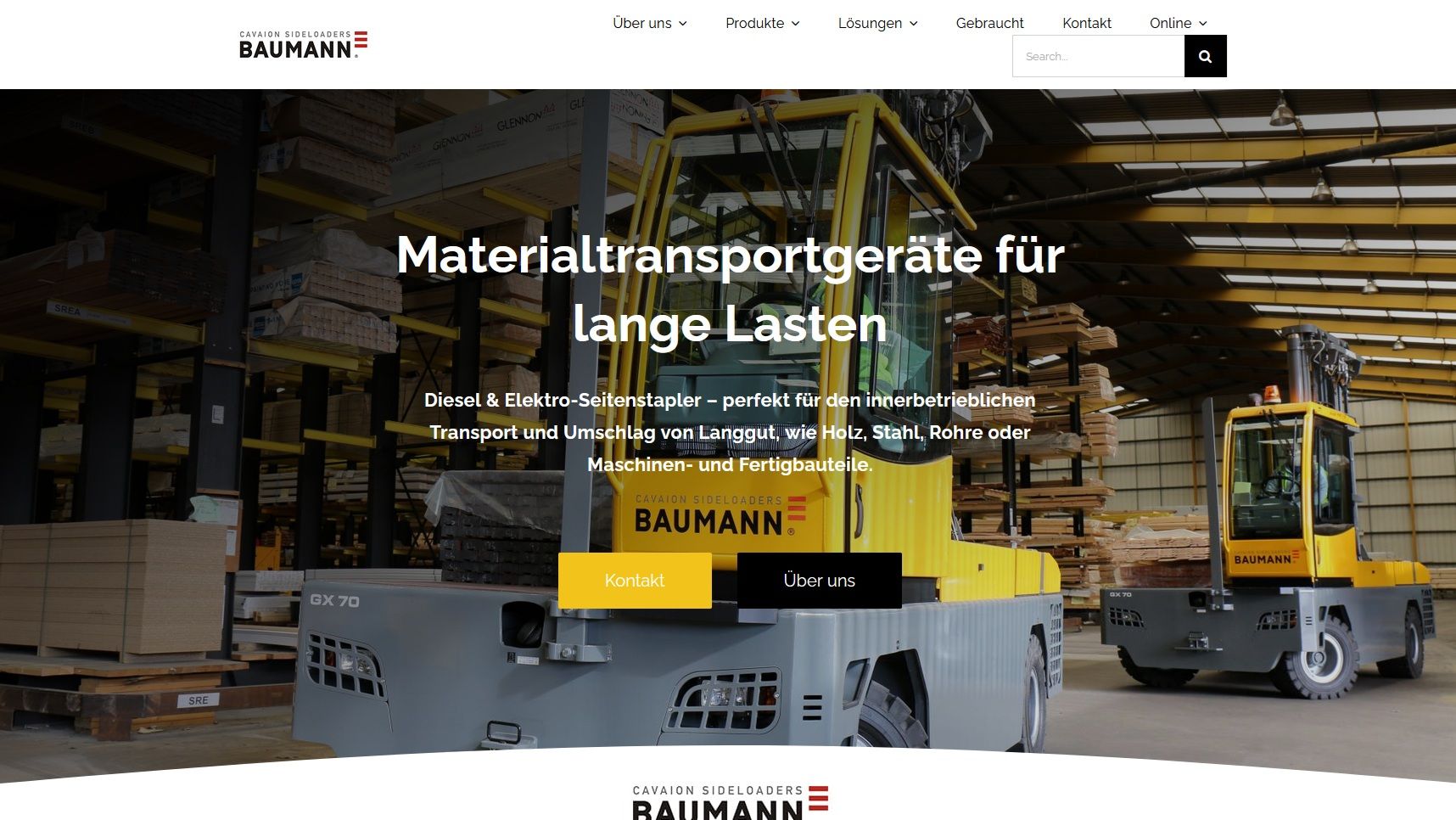 Baumann S.r.l.