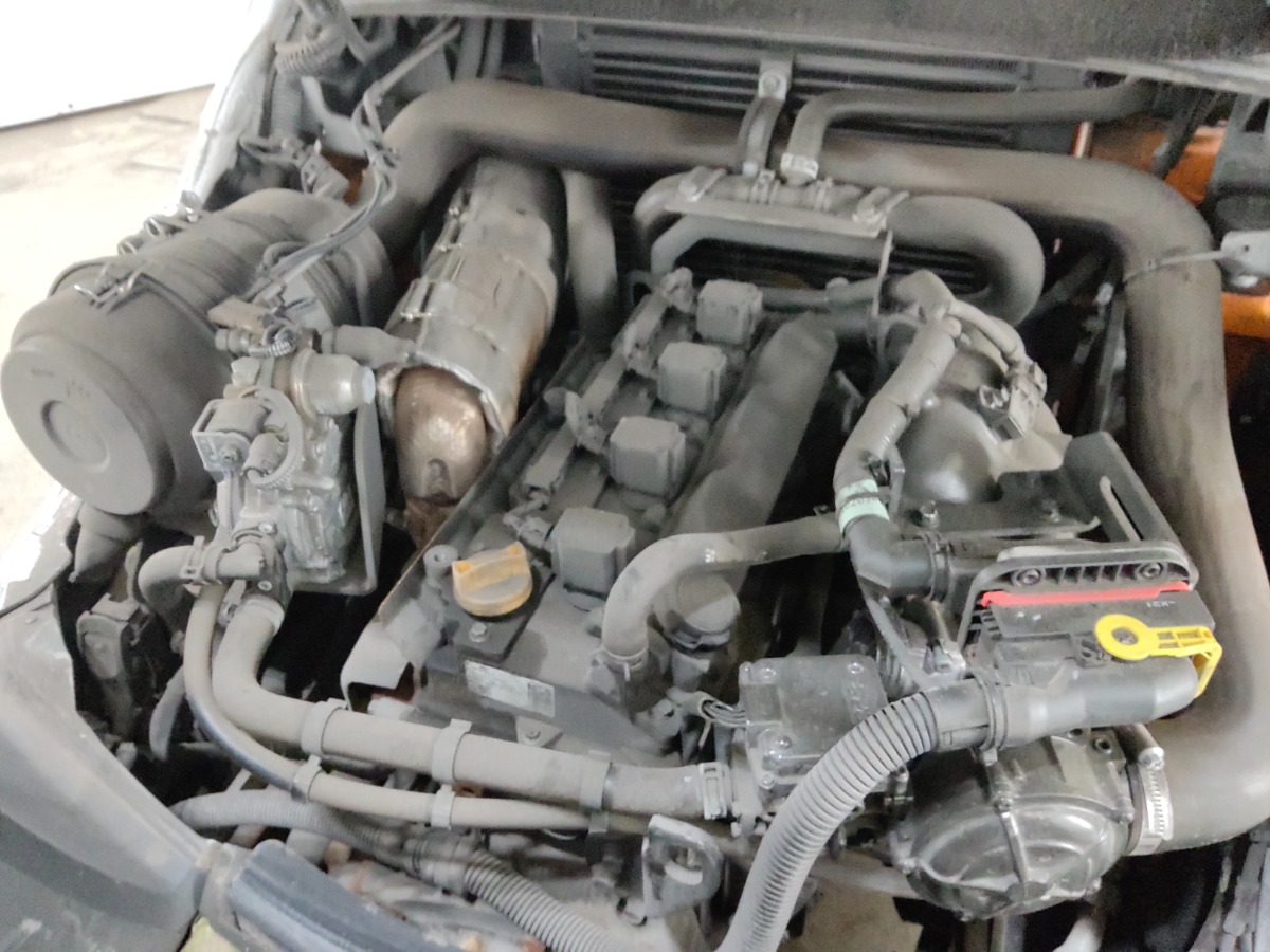 Still RX70-25T Frontale Gpl www.blackforxx.com